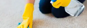 Person cleaning a carpet, CERTIFIED CLEANING PROFESSIONALS