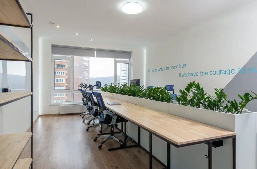 Plants displayed in a meeting room: 5 tips for eco-friendly cleaning