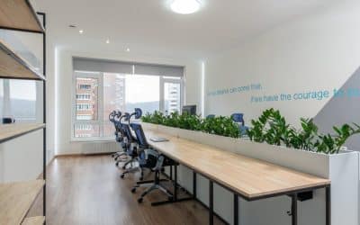 5 Tips for Eco-Friendly Office Cleaning